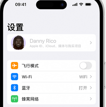 静宁appleID维修服务iPhone设置中Apple ID显示为灰色无法使用 