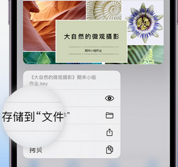 静宁apple维修中心分享iPhone文件应用中存储和找到下载文件