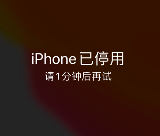 静宁苹果手机维修分享:iPhone 显示“不可用”或“已停用”怎么办？还能保留数据吗？ 