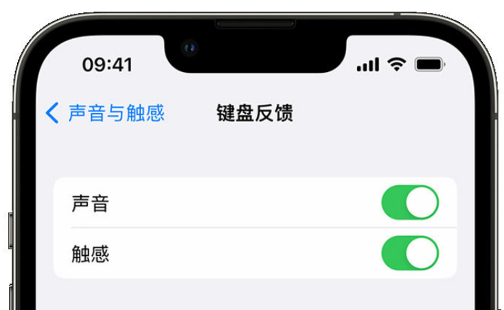 静宁苹果手机维修分享iPhone 14触感键盘使用方法 