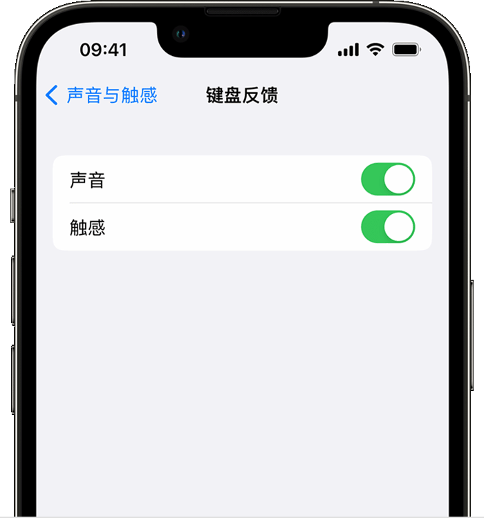 静宁苹果14维修店分享如何在 iPhone 14 机型中使用触感键盘 