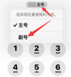 静宁苹果14维修店分享iPhone 14 Pro Max使用副卡打电话的方法 