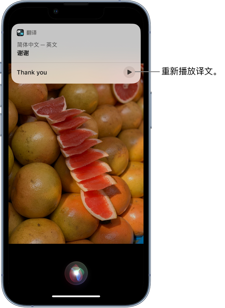 静宁苹果14维修分享 iPhone 14 机型中使用 Siri：了解 Siri 能帮你做什么 