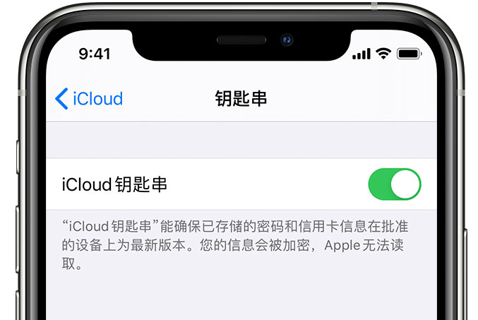 静宁苹果手机维修分享在 iPhone 上开启 iCloud 钥匙串之后会储存哪些信息 