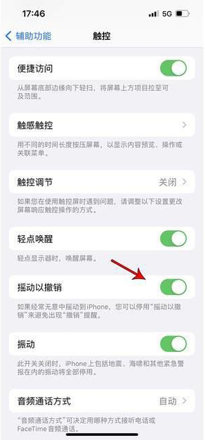 静宁苹果手机维修分享iPhone手机如何设置摇一摇删除文字 